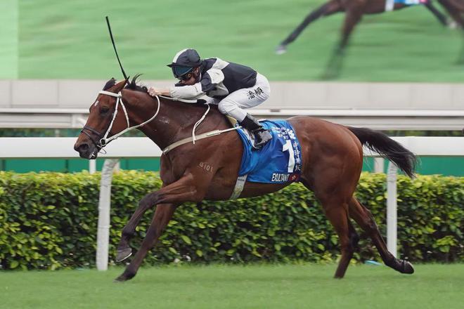 戴眼罩夺魁家族曾养香港马王龙8手机登录入口王经纬赛驹