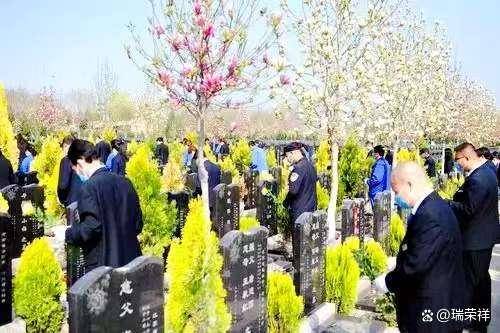 时间安排与禁忌揭秘清明祭扫注意事项：(图2)
